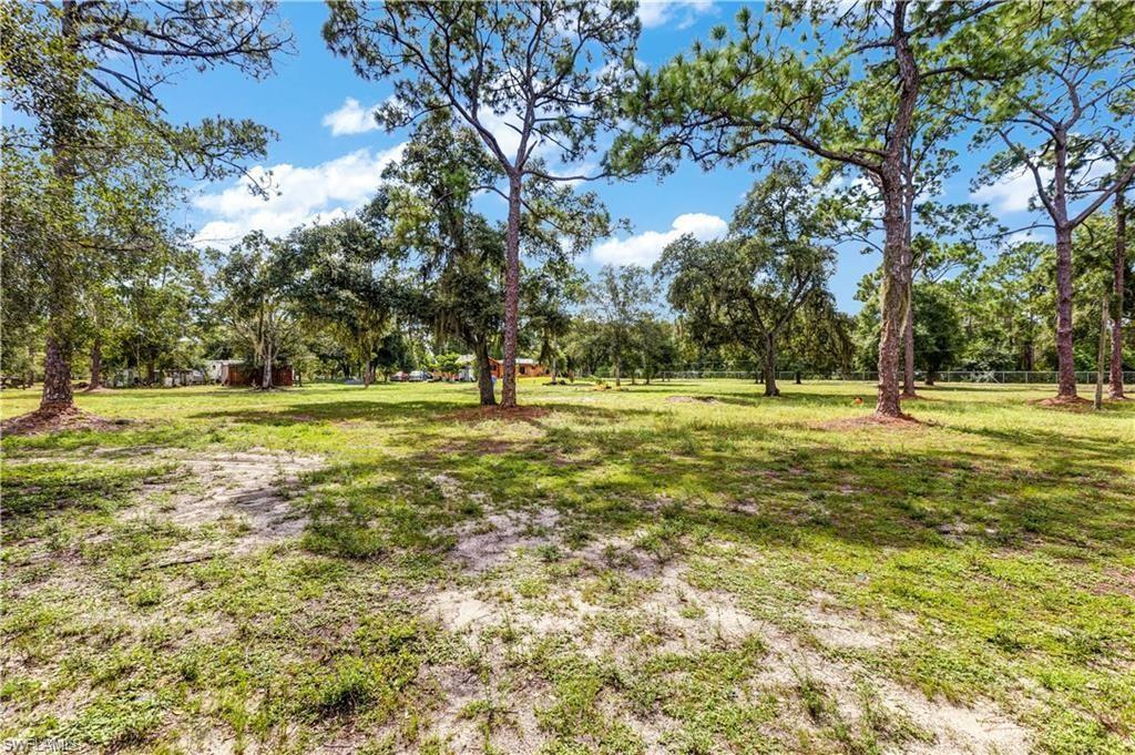 410 Cabbage Palm St Property Photo 13