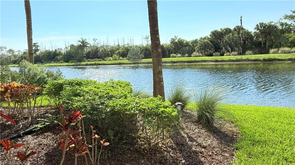 9816 Giaveno Cir 1317 Property Photo 26