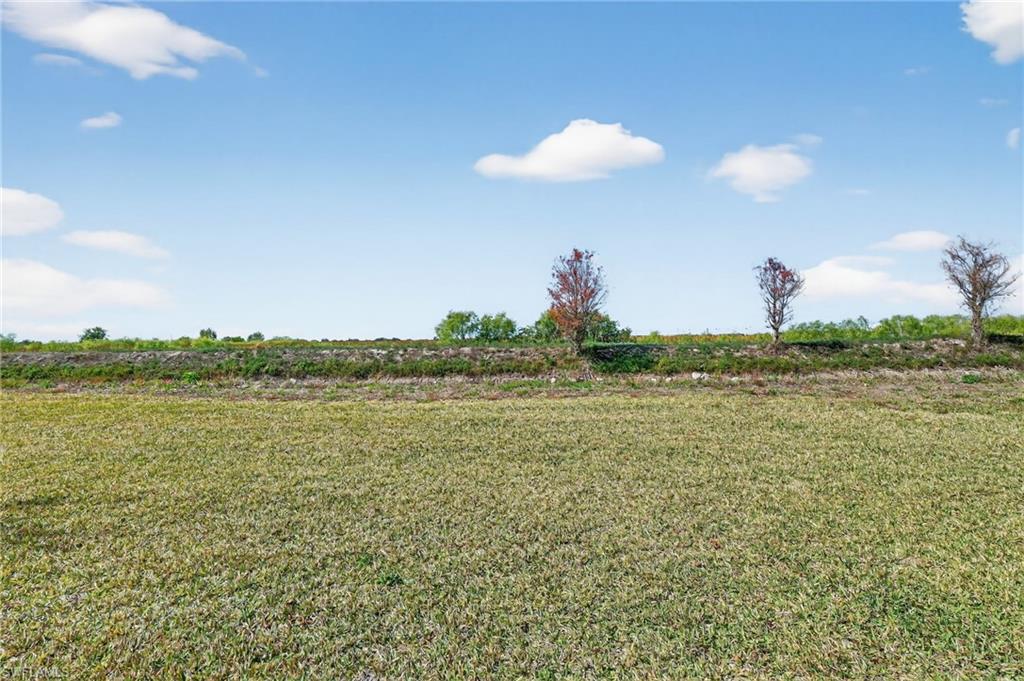 2821 Citrus St Property Photo 15