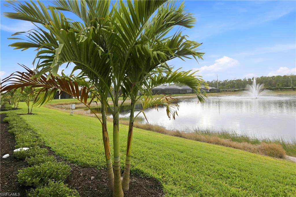 9707 Moonflower Ln Property Photo 46