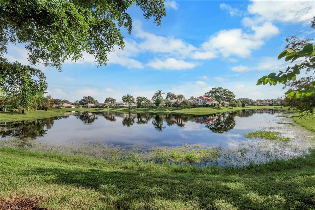 28558 Alessandria Cir Property Photo 36
