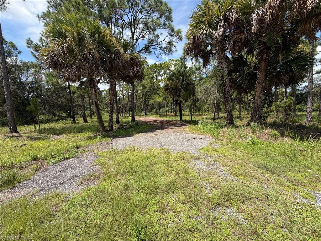 550 Utopia St Property Photo 3