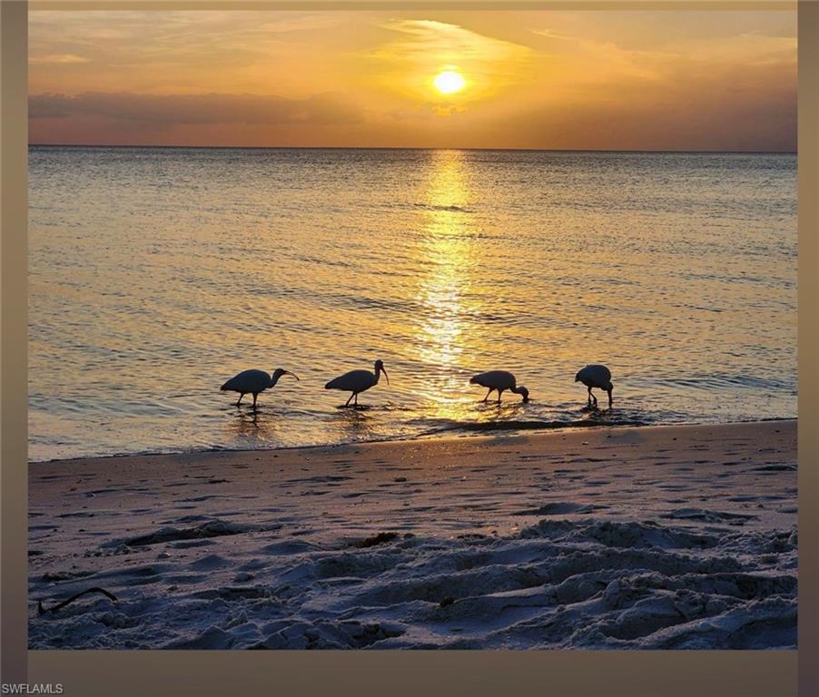 15059 Blue Marlin Ter Property Photo 49