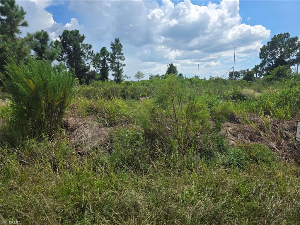 3044 Meadow Rd Property Photo 2