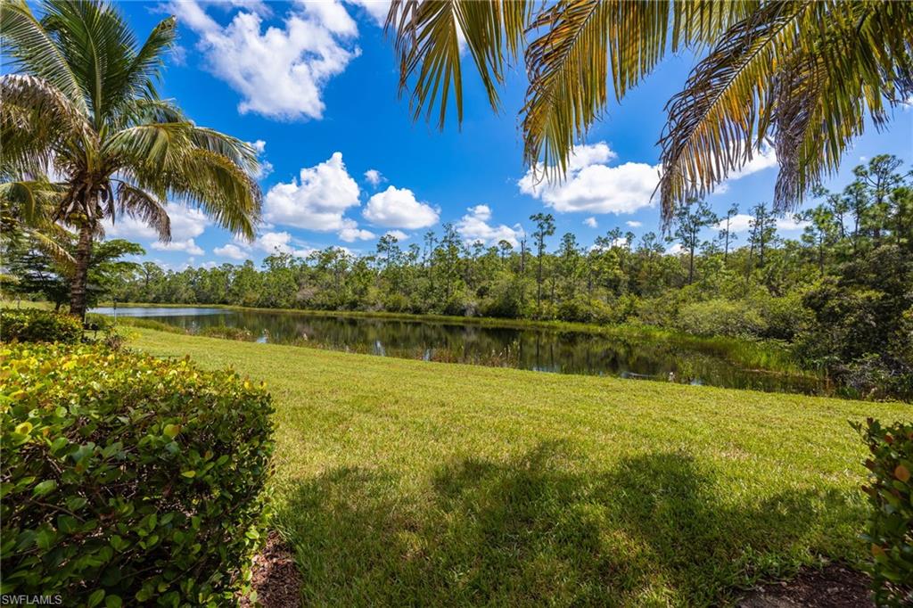 10160 Via Colomba Cir Property Photo 32