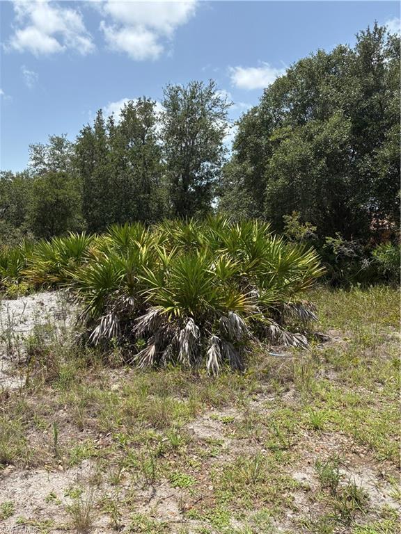 2521 68th Property Photo 2