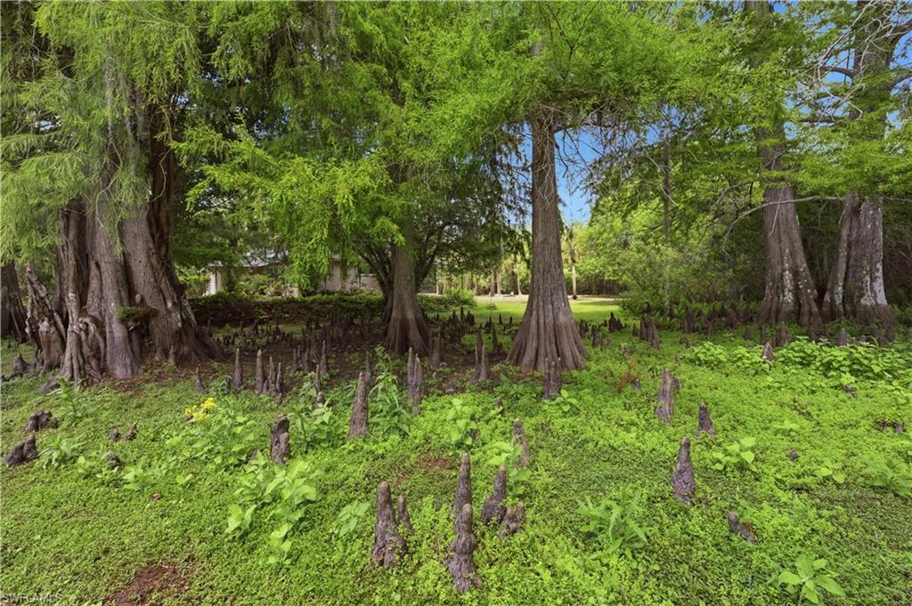 5681 Bur Oaks Ln Property Photo 7