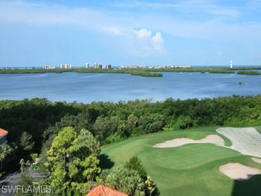 4951 Bonita Bay Blvd 901 Property Photo 14