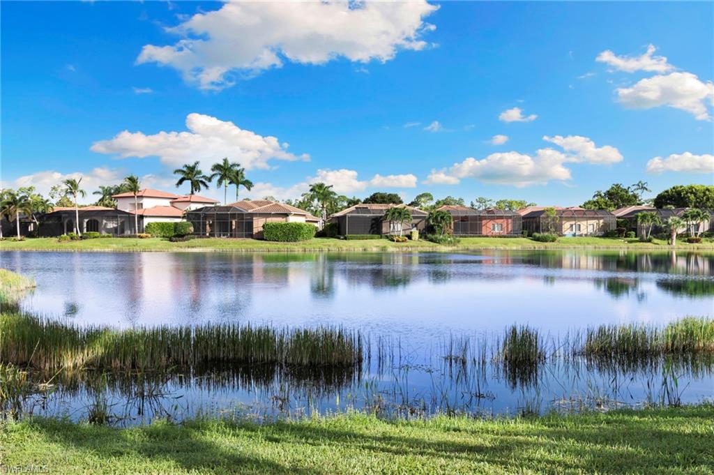 7405 Treeline Dr Property Photo 42