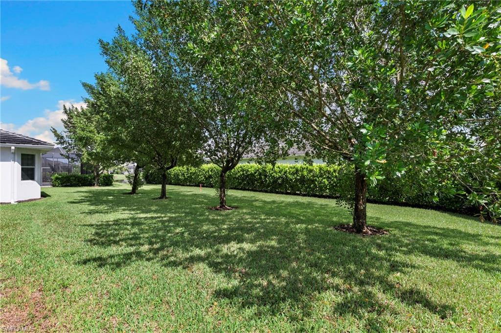 8950 Mustique Ln Property Photo 28