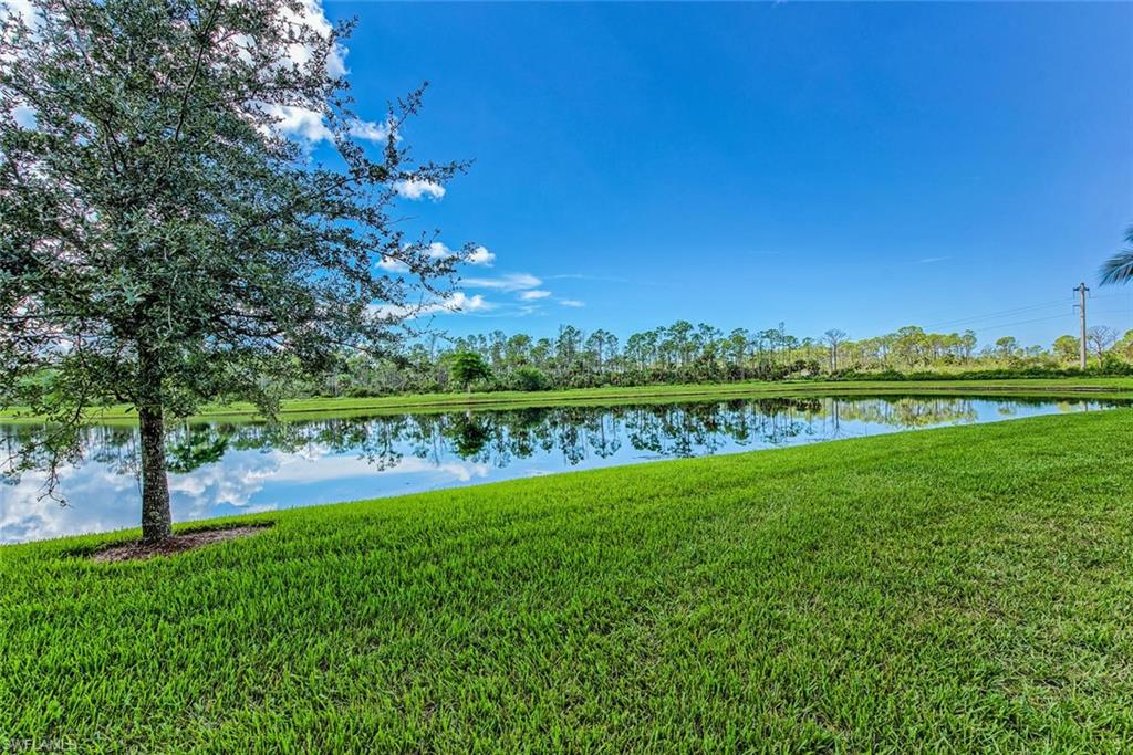 9731 Acqua Ct 541 Property Photo 24