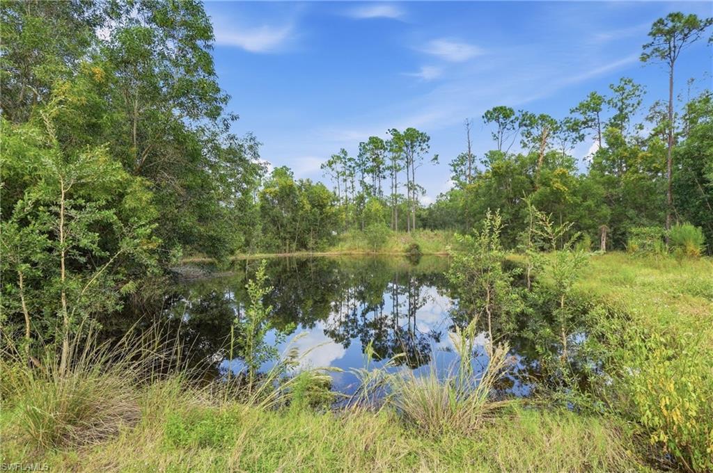 18125 Dykes Rd Property Photo 30