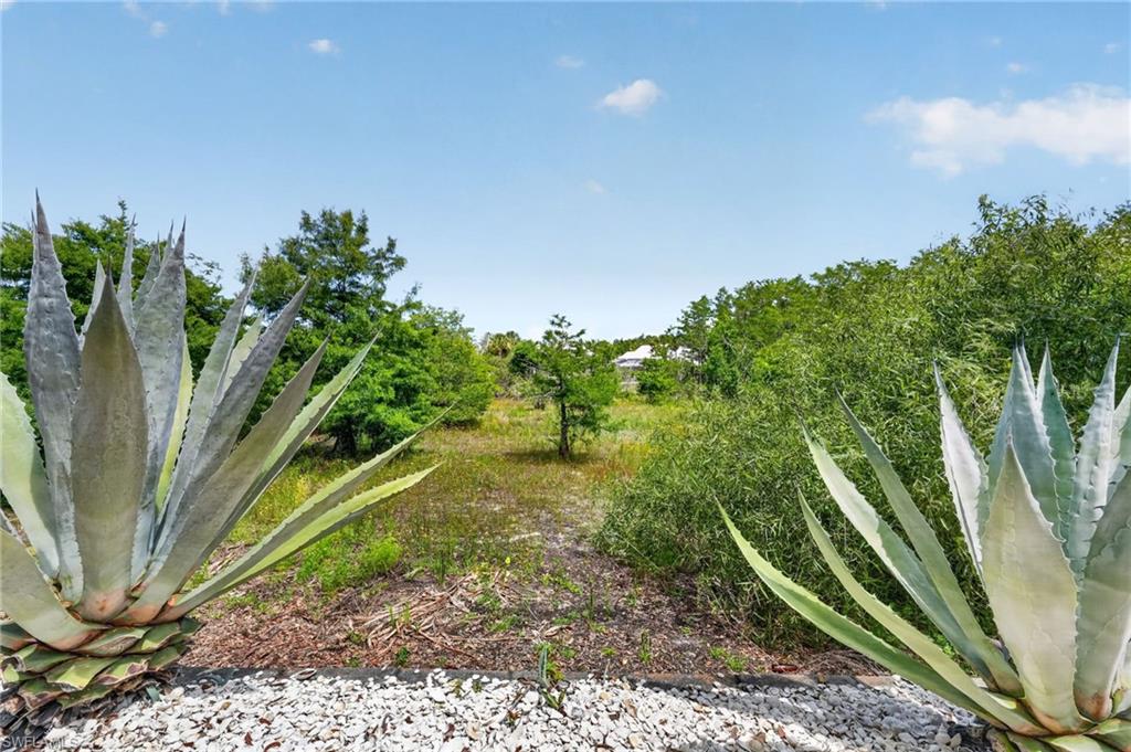 1523 Whispering Oaks Cir Property Photo 31