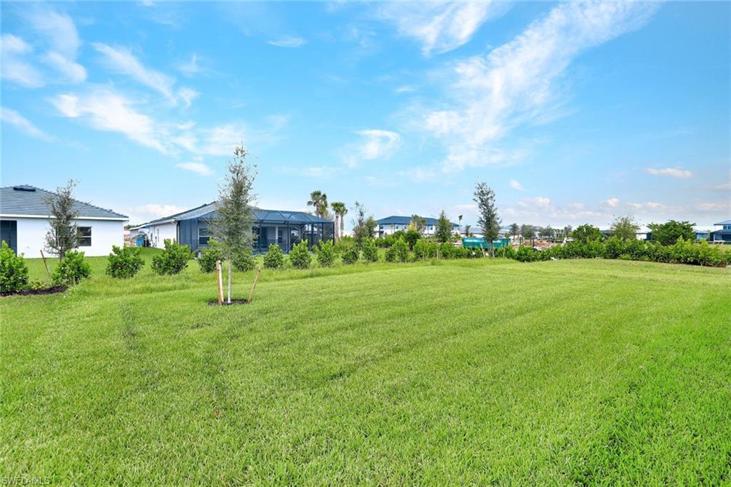 4751 Tribute Trail Property Photo 35