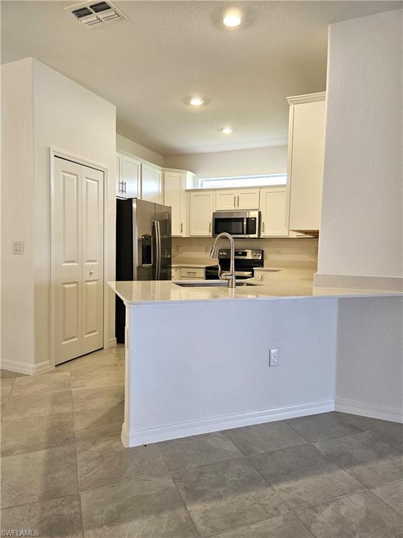 2167 Dragonfruit Way Property Photo 4