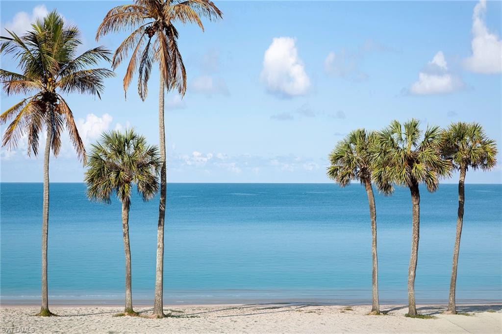 4005 Gulf Shore Blvd N 100 Property Photo 3