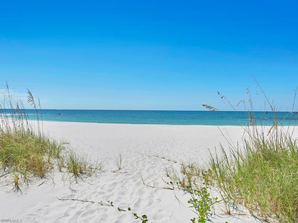 2230 Gulf Shore Blvd N T4 Property Photo 34