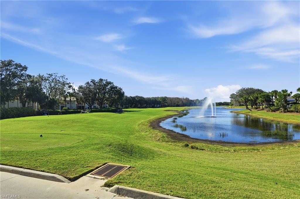 13338 Little Gem Cir Property Photo 29
