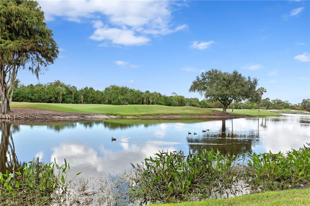 8291 Grand Palm Dr 4 Property Photo 6