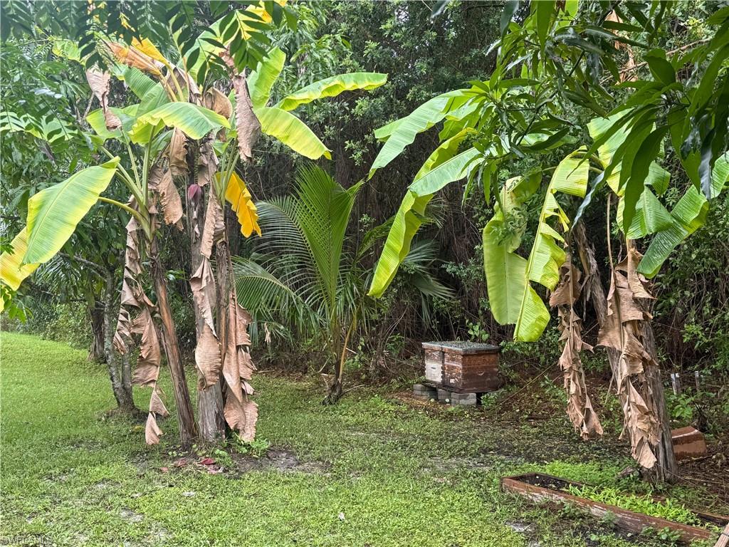 4775 Everglades Blvd N Property Photo 20