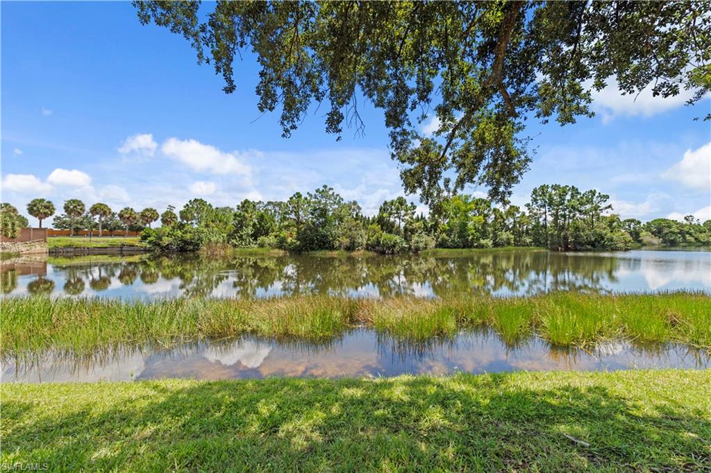10109 Colonial Country Club Blvd 2408 Property Photo 31