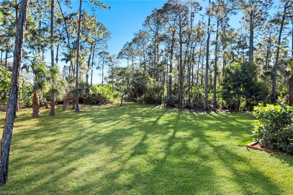 25295 Catskill Dr Property Photo 44