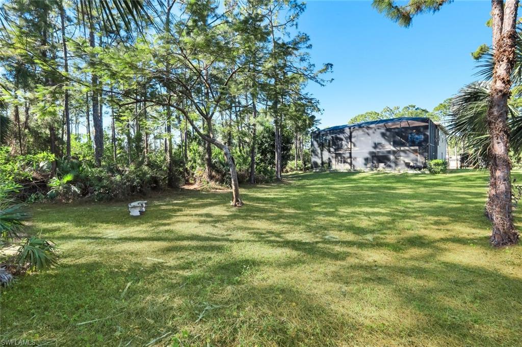 25295 Catskill Dr Property Photo 45