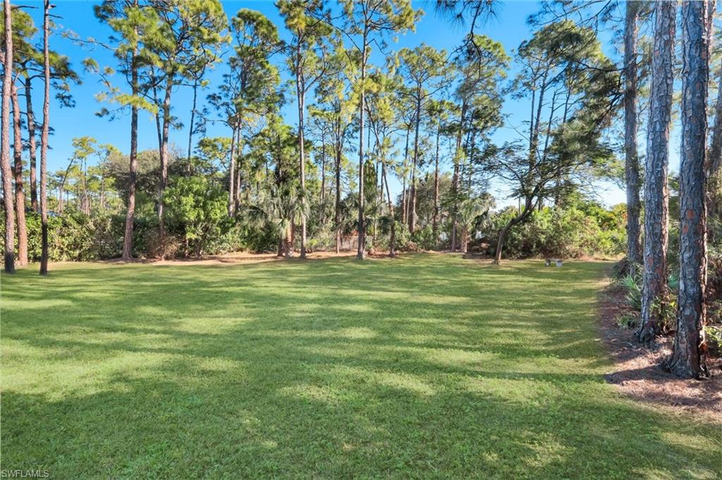 25295 Catskill Dr Property Photo 46