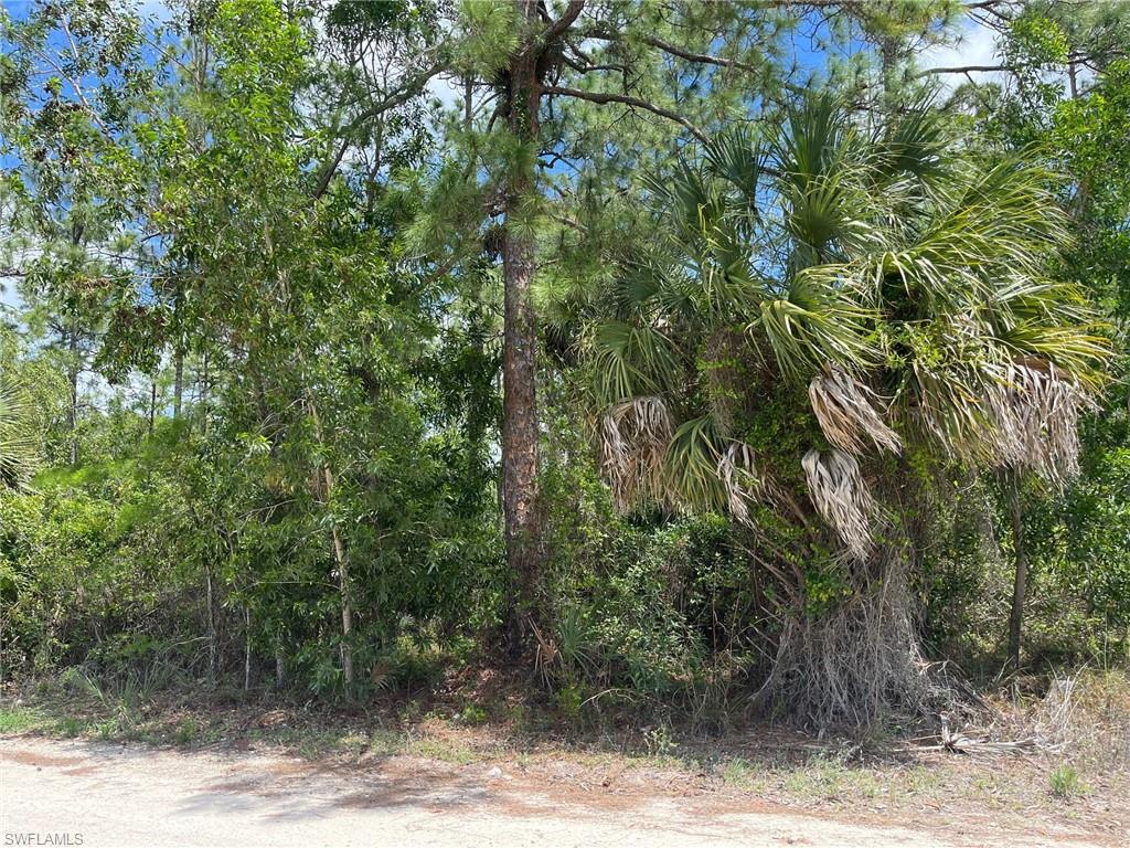 1930 Blue Sage Dr Property Photo 10