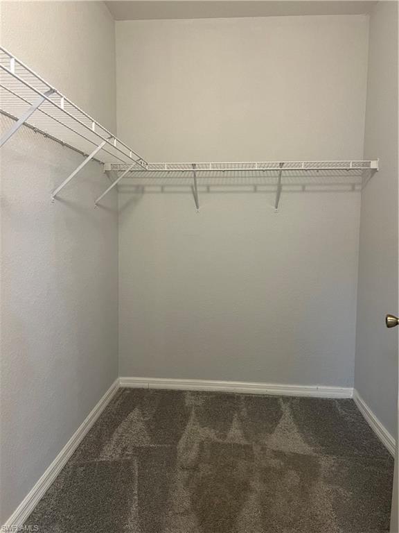 8358 Bernwood Cove Loop 704 Property Photo 16