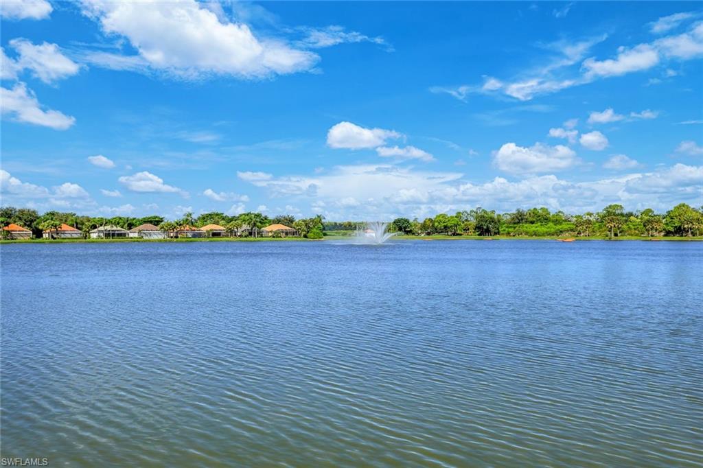 3971 Jasmine Lake Cir Property Photo 41
