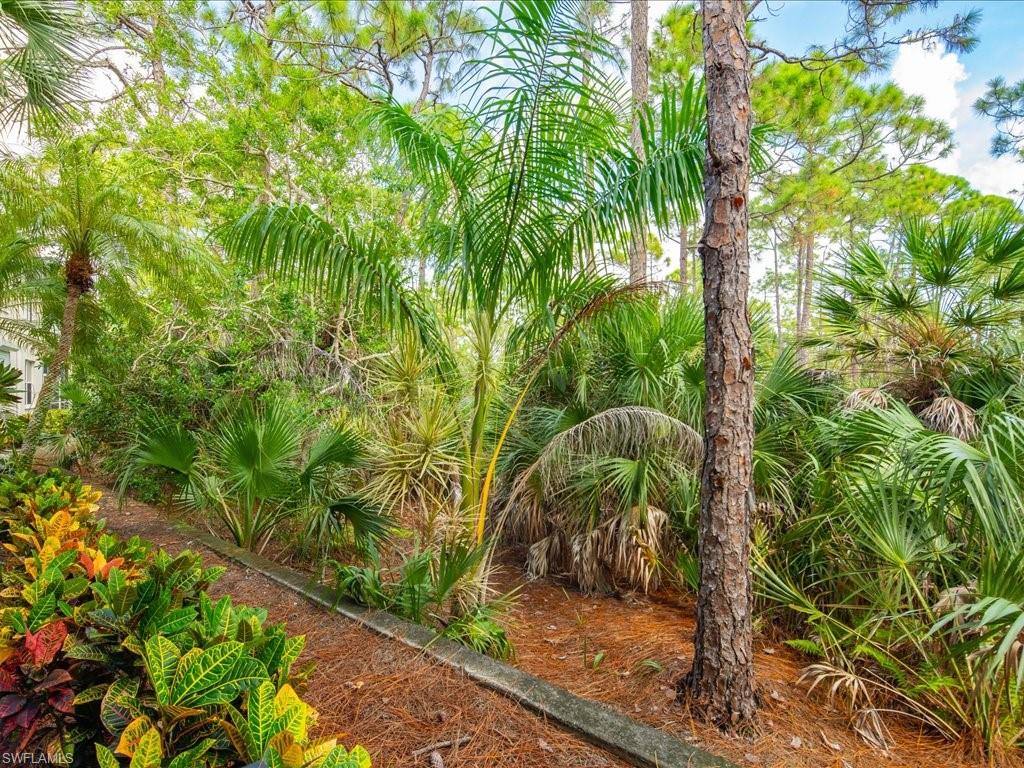 905 Carrick Bend Cir 101 Property Photo 32