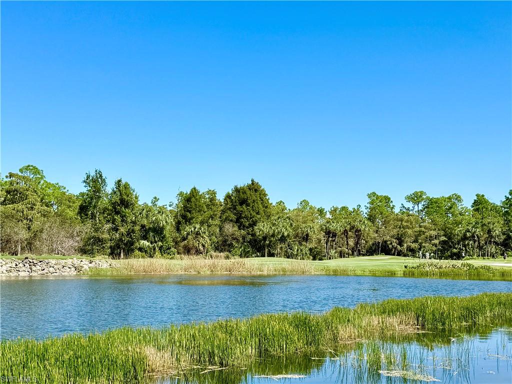 8605 Naples Heritage Dr 212 Property Photo 25