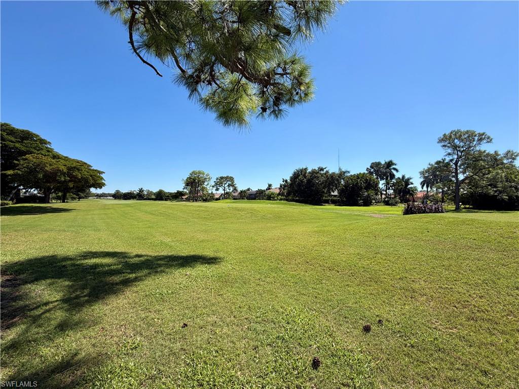 9919 Treasure Cay Ln Property Photo 34