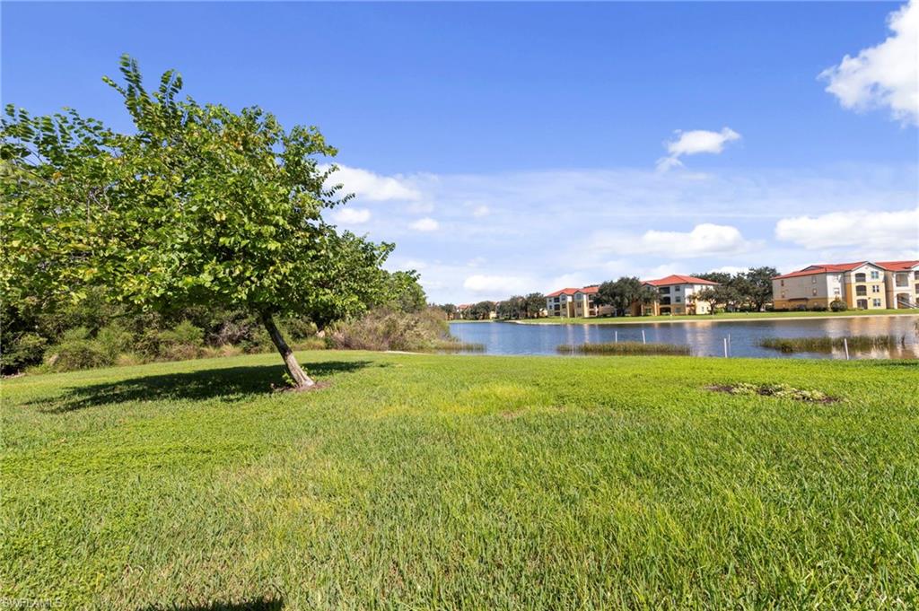 12555 Laurel Cove Dr Property Photo 33