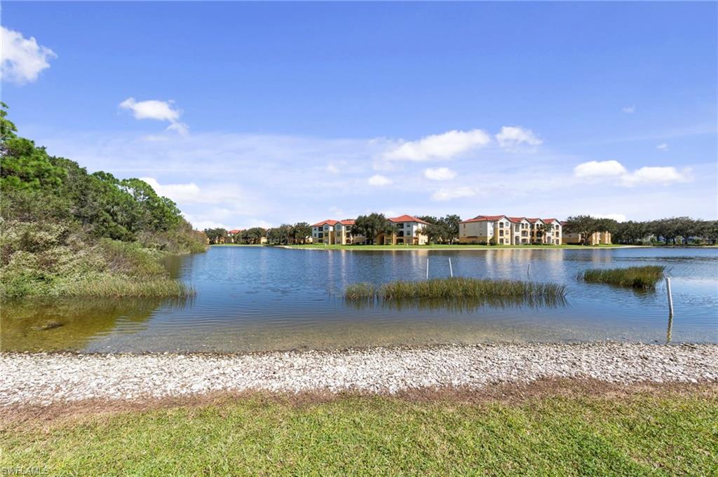 12555 Laurel Cove Dr Property Photo 35