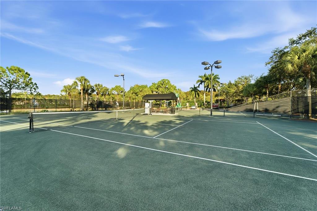 226037944 Property Photo 41