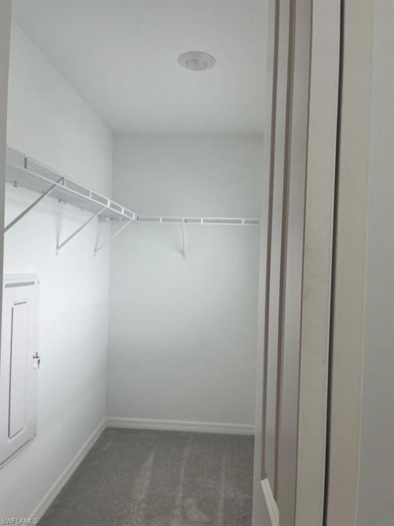 4189 Camisa Ln Property Photo 10