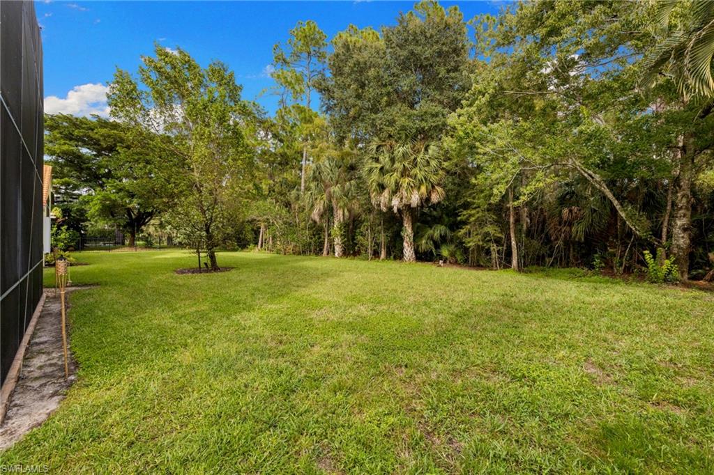 2346 Butterfly Palm Dr Property Photo 21