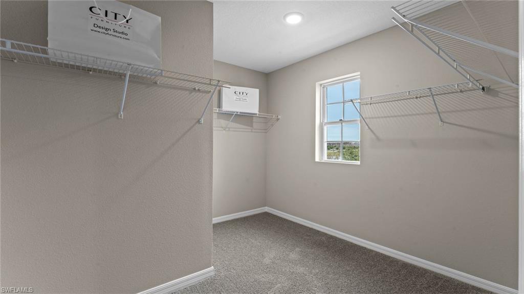 16844 Elkhorn Coral Dr Property Photo 10