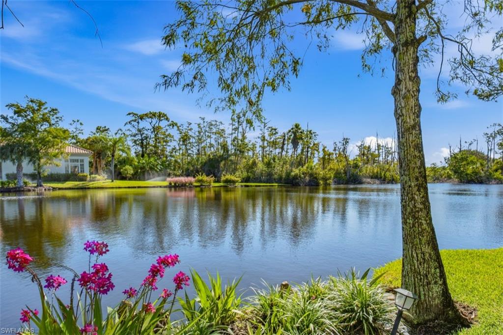 4660 Via Roma Property Photo 26