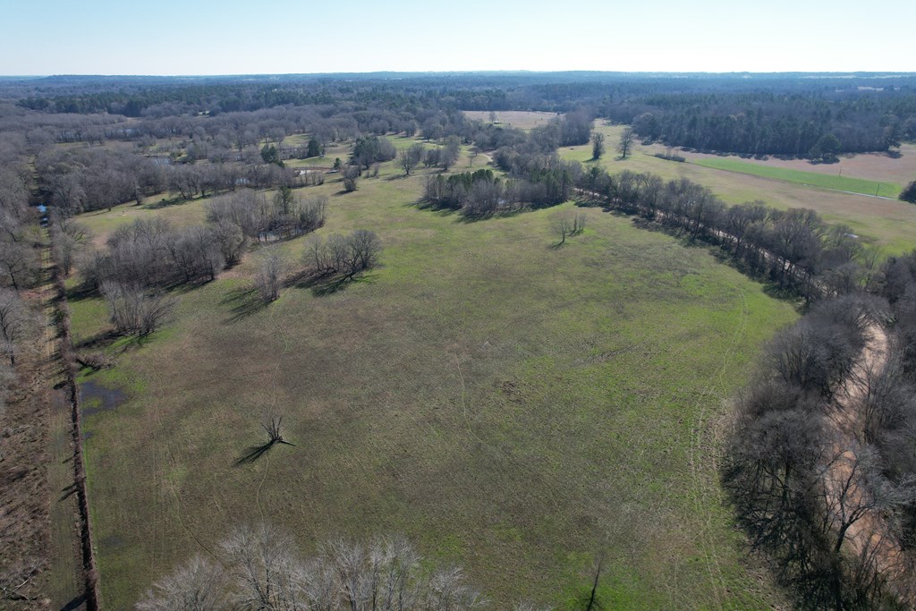 Parcel #22335 Fm 2076 Property Photo 8