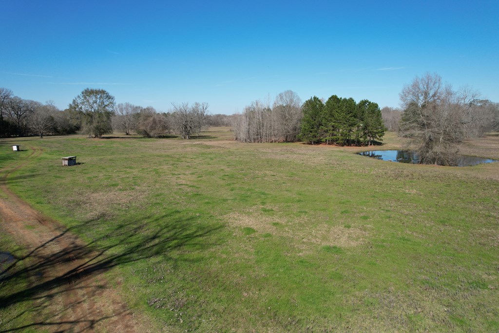 Parcel #22335 Fm 2076 Property Photo 9
