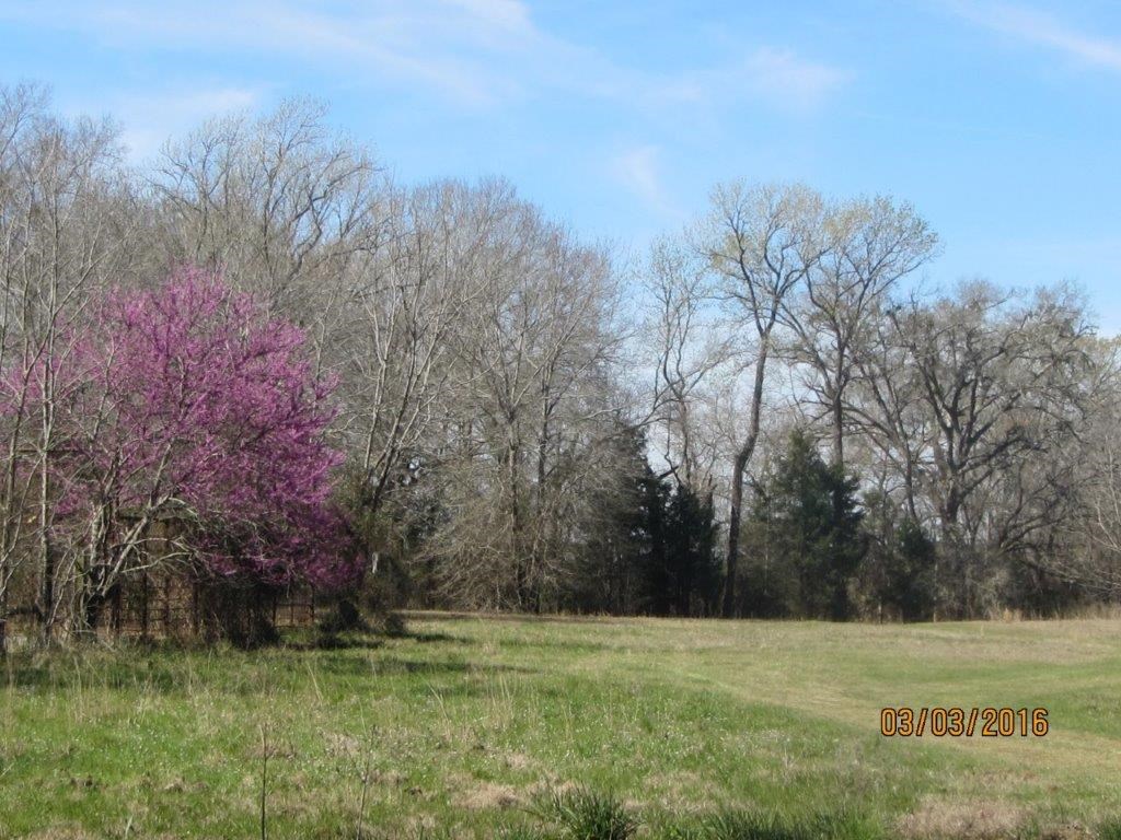 Parcel #22335 Fm 2076 Property Photo 10