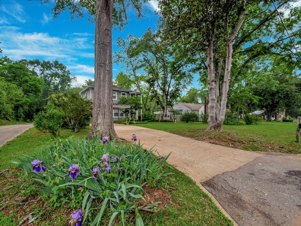 108 E Planters Property Photo 3