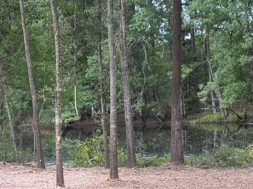 9633 Hwy 87s Property Photo 1