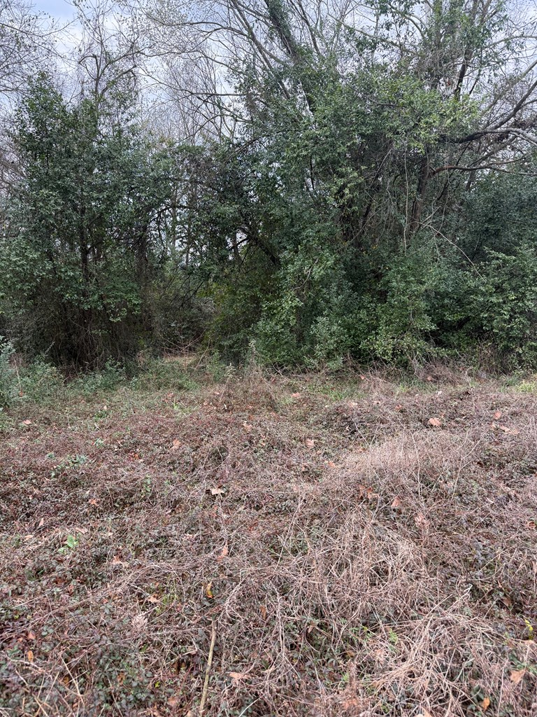 708 Orton St Property Photo 3