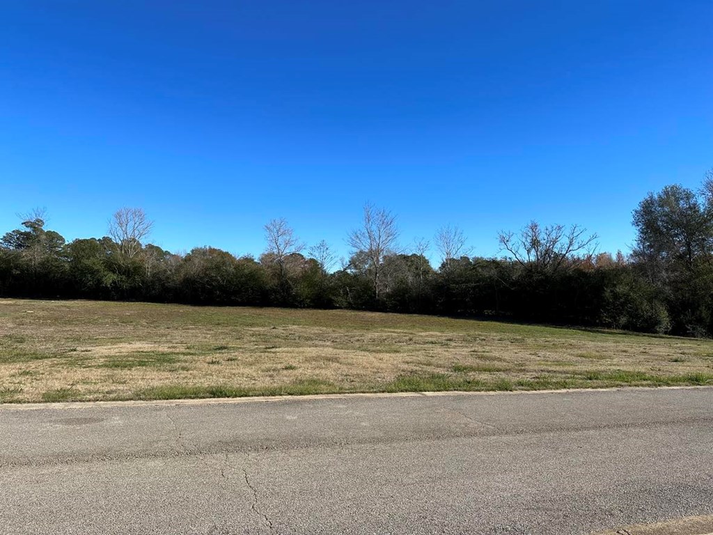 190 Damascus Road Property Photo 3
