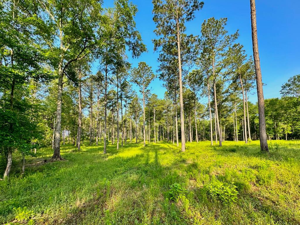 30781 Fm 2261 Property Photo 1