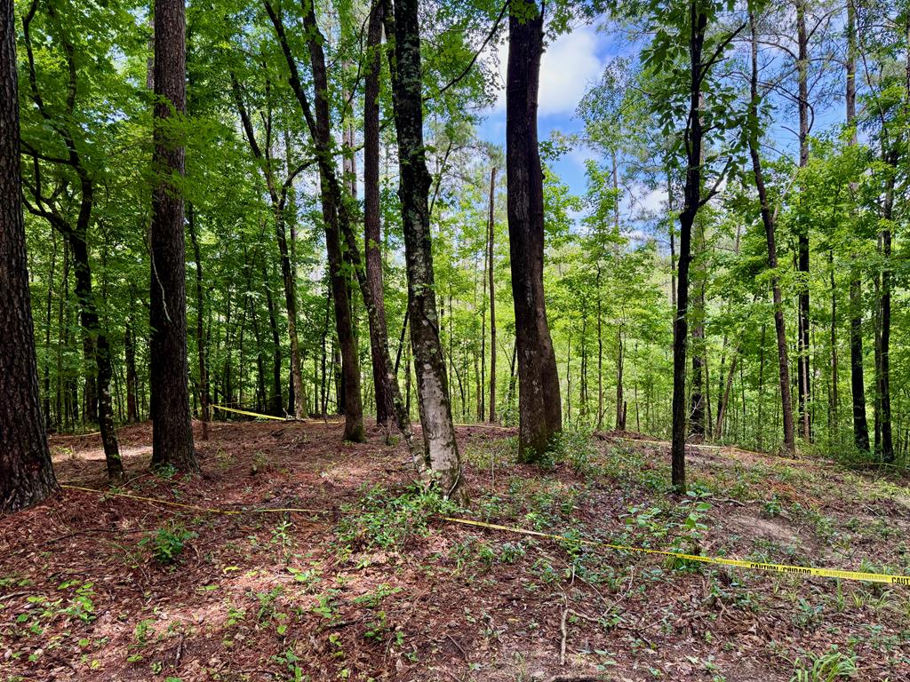 Pid# 216865 Tanglewood Circle Property Photo 1
